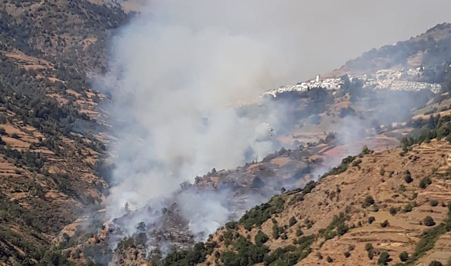 Incendio forestal de Bubión.